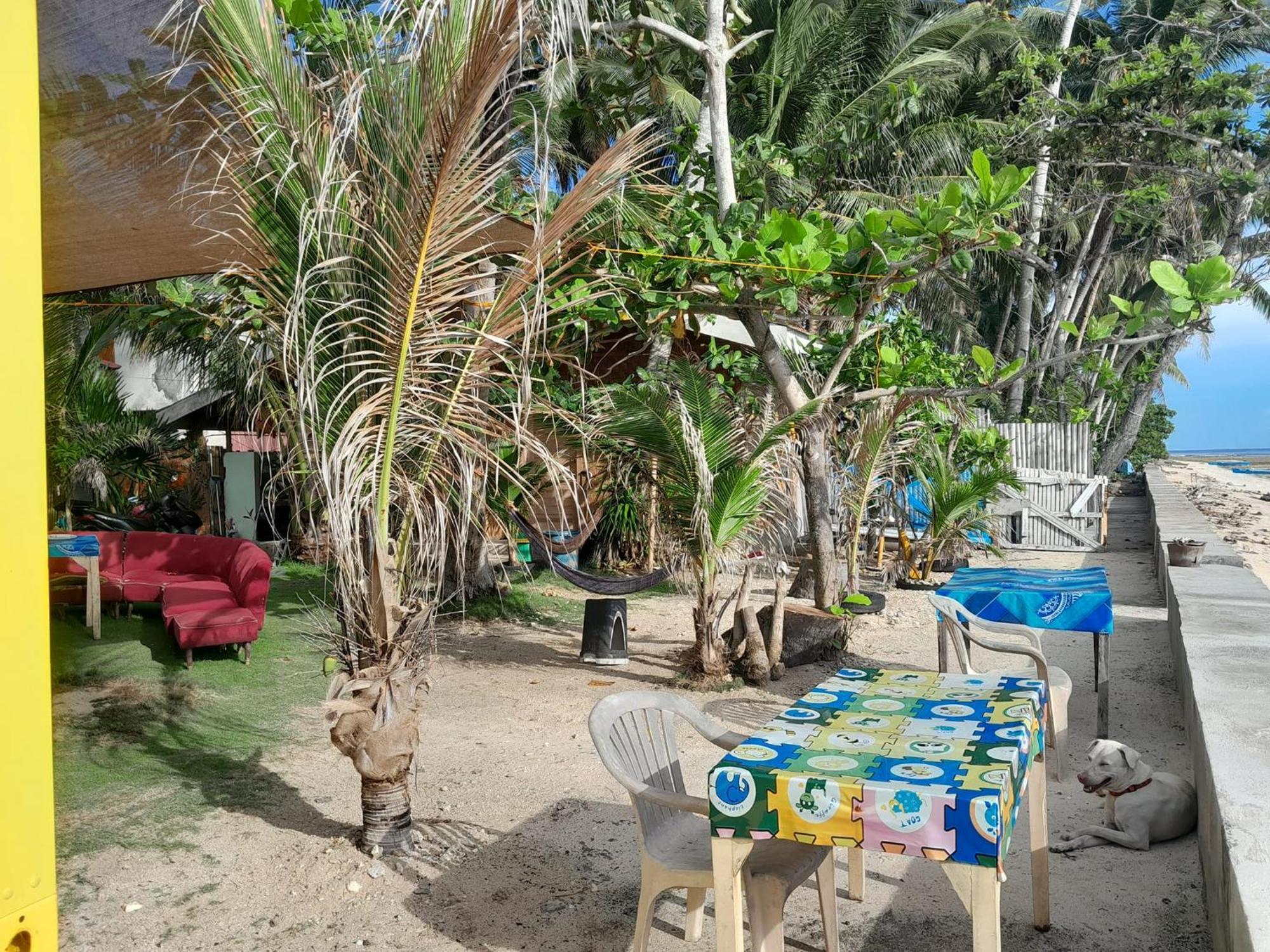 Enrico'S Guesthouse Siquijor Zewnętrze zdjęcie